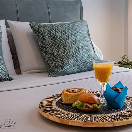 Apartmán Sofelia Elegant