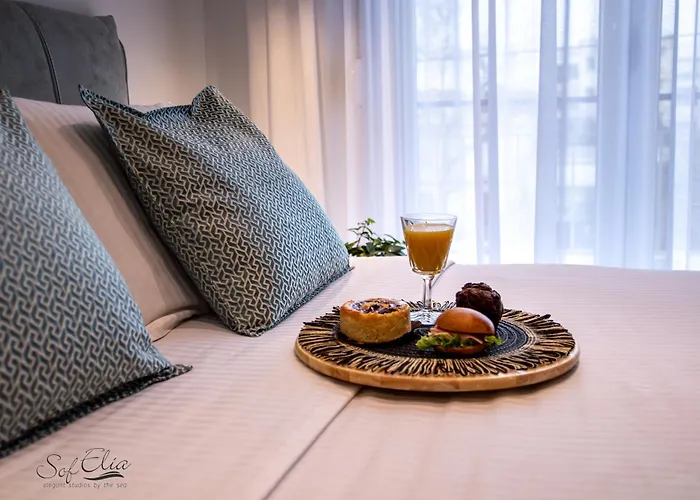 Sofelia Elegant 公寓