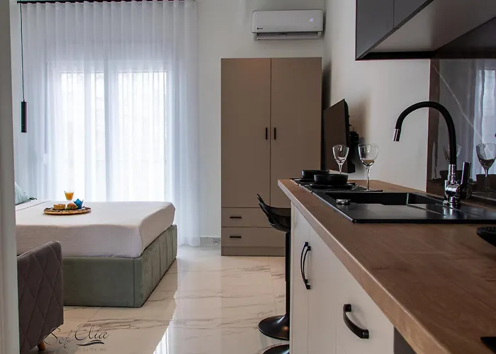 Sofelia Elegant 公寓