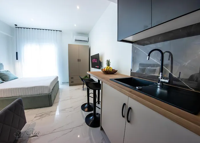 Sofelia Elegant 公寓 *