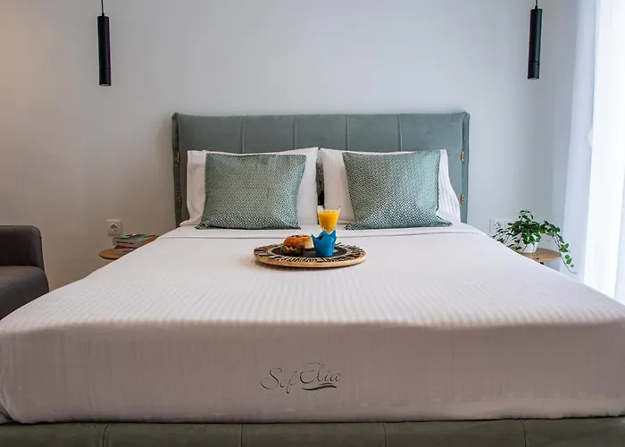 公寓 Sofelia Elegant *