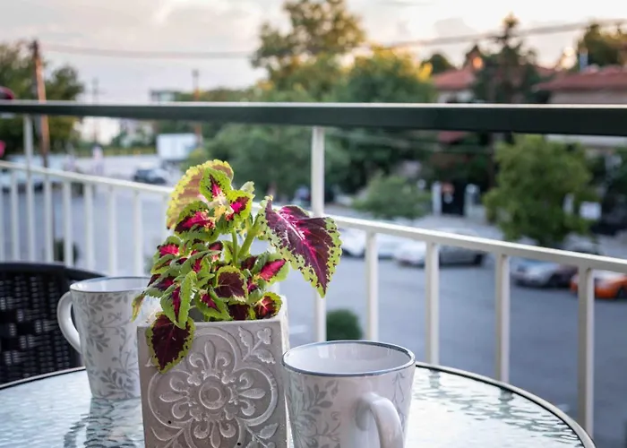 公寓 Sofelia Elegant